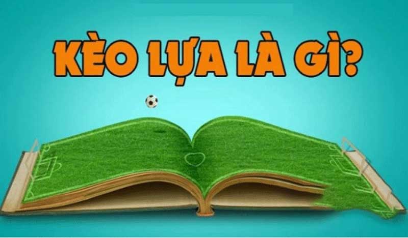 Kèo lựa bí kíp cho bet thủ Tìm hiểu và áp dụng đúng cách